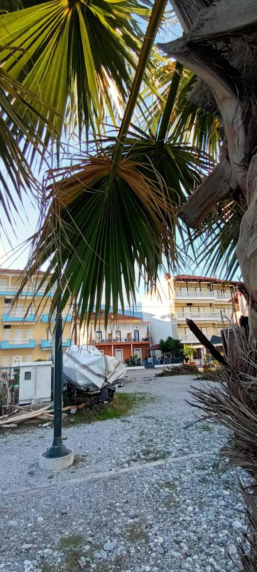 Mana Mia Seaside Apartments Leptokarya (Pieria) Exterior foto